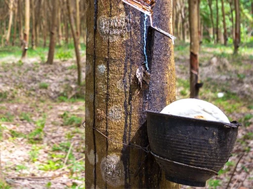 rubber
