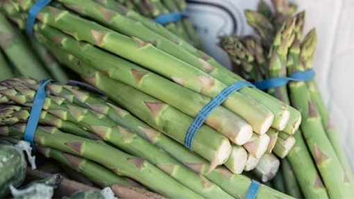rubber bands for vegetables