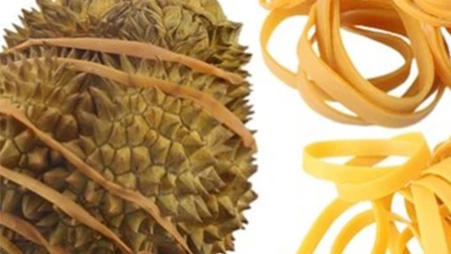 rubber bands for durian rubber bands for durian