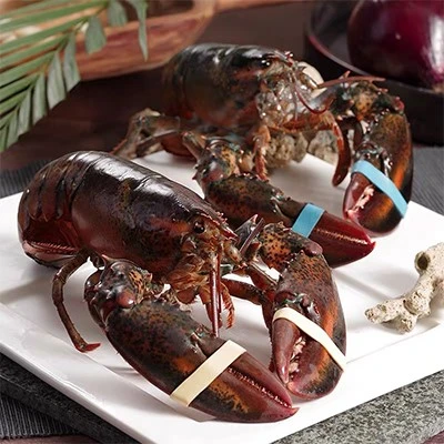 lobster rubber bands